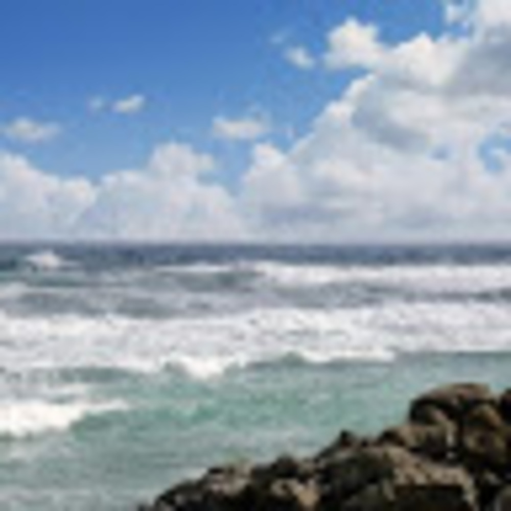 Meet your Posher, Channa